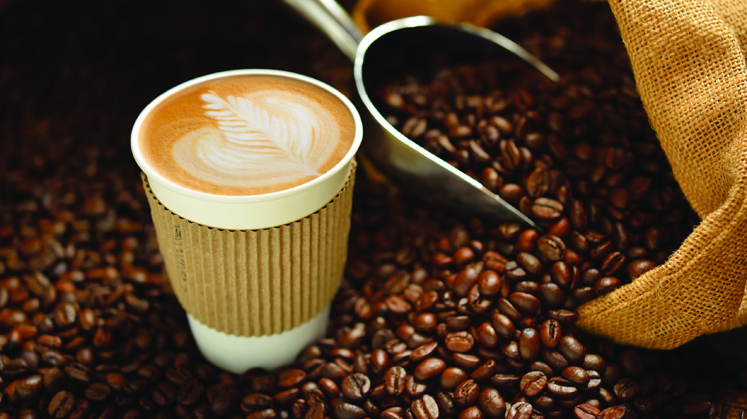 PLAZA CAFE WEB IMAGE